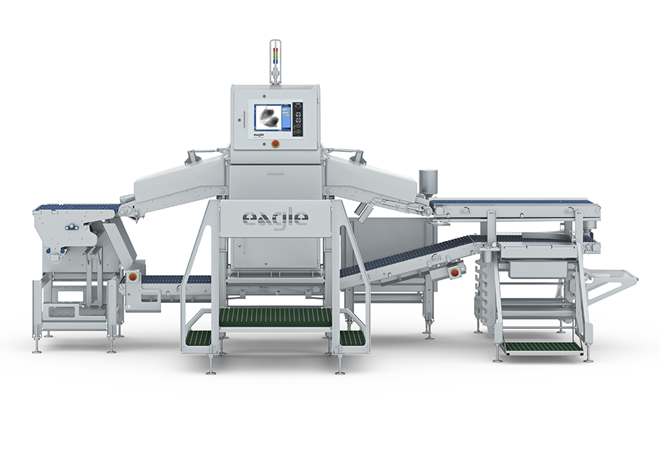 Eagle - X-Ray Inspection